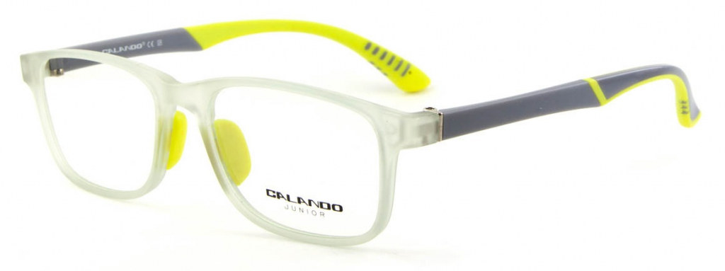 Купить детские очки CALANDO СE SP TRD-12