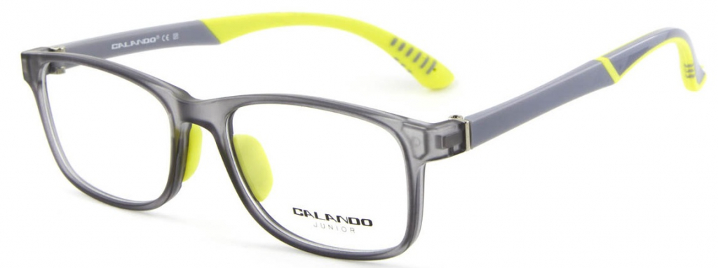 Купить детские очки CALANDO СE SP TRD-12