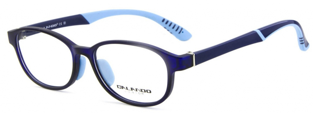 Купить детские очки CALANDO СE SP TRD-14