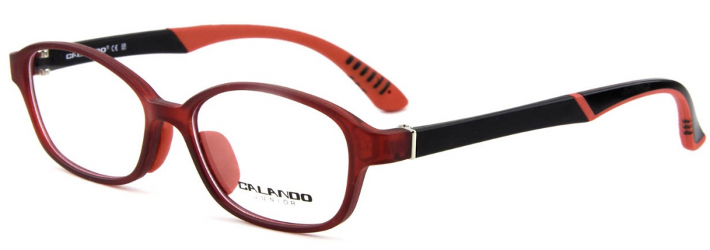 Купить детские очки CALANDO СE SP TRD-19