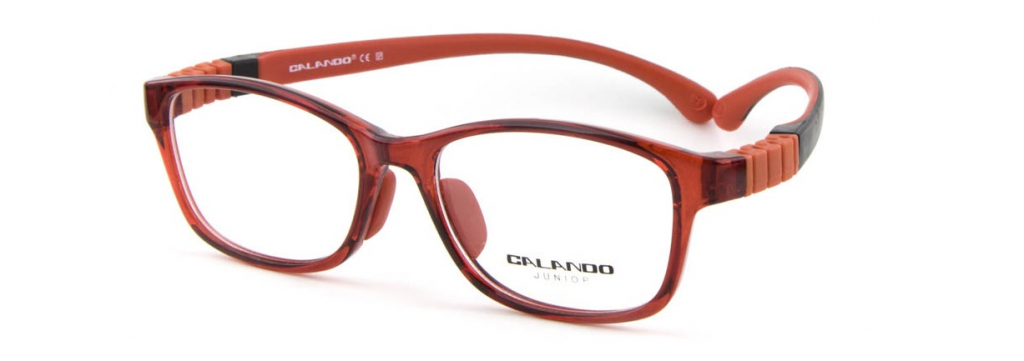 Купить детские очки CALANDO СE SP TRD-22