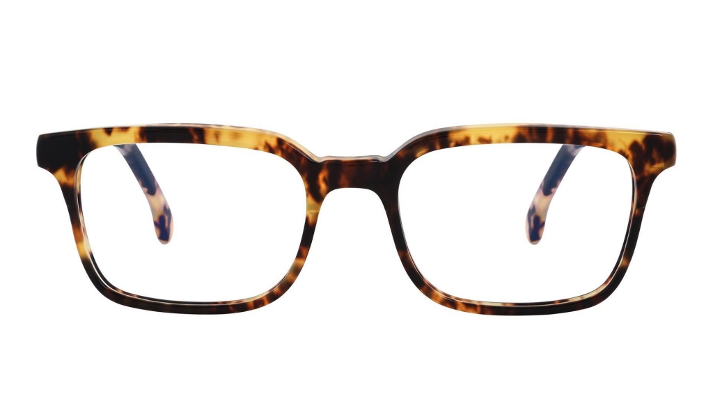 Купить унисекс очки PAUL SMITH ADELAIDE V1