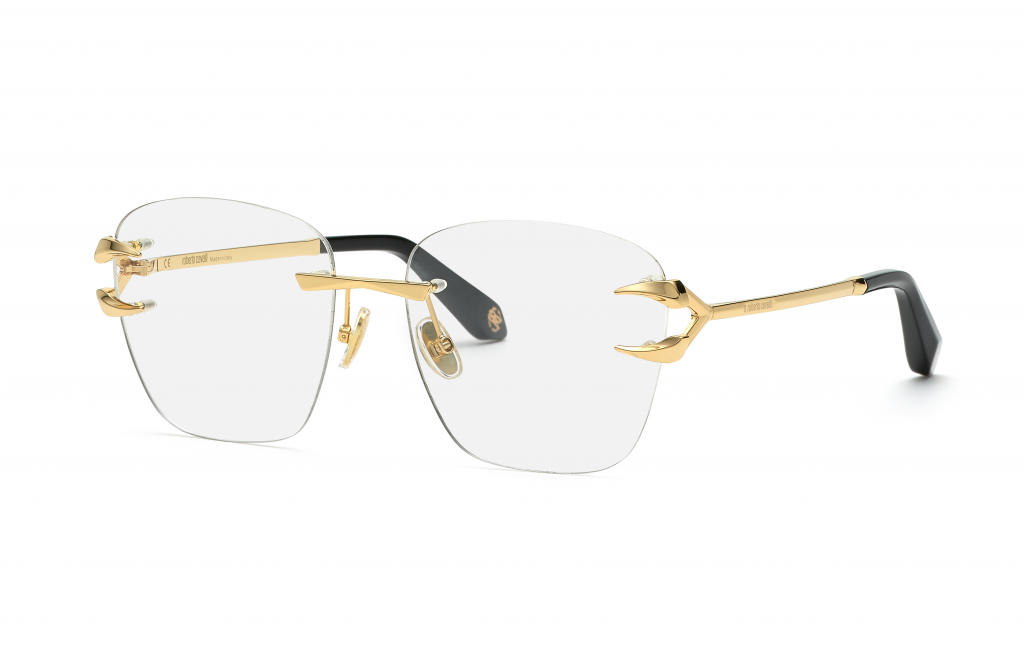 Купить унисекс очки ROBERTO CAVALL VRC022